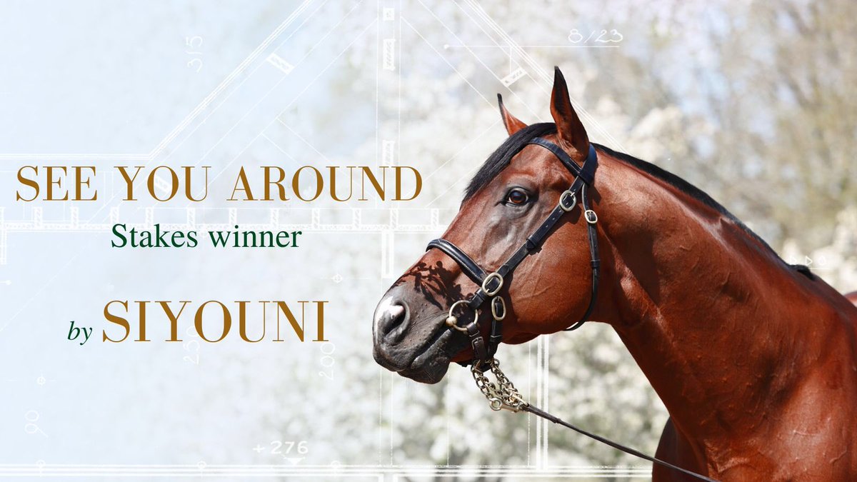 🏆 3yo filly See You Around is a new Stakes winner for #Siyouni, winning the Listed Prix Aymeri de Mauleon at Toulouse!

Congratulations to owner Cotton House Bloodstock & breeder C-Squared Investments.👏