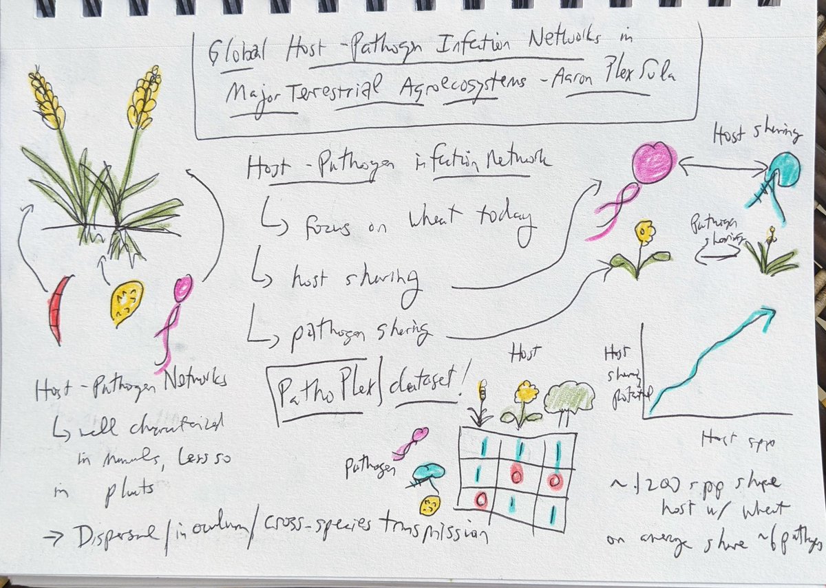 LOOOVE hearing from @PlexAaron on his cool work aggregating a massive dataset of diseases and hosts at a global scale, nice to see the power of such a dataset for wheat as a nifty case study @Garrett_Lab #IEW13 #sketchnotes