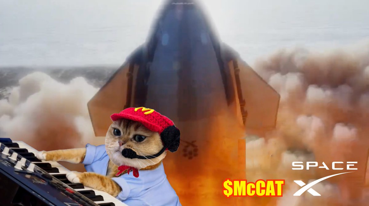 $McCAT haz lift off! 🐈🚀 #solana #memecoin via #jupiter ✨ #McCAT #interstellar #starship #memes