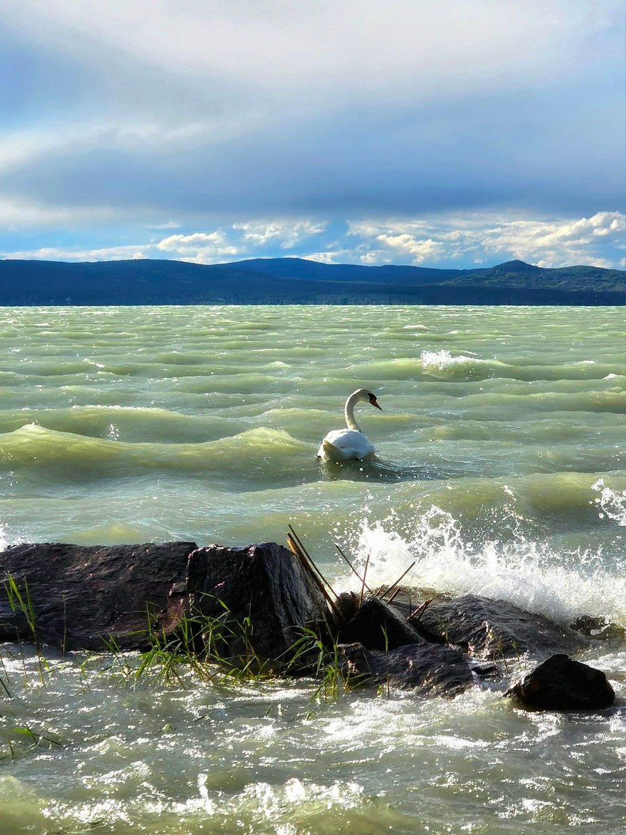 Balaton zöld színe ❤️