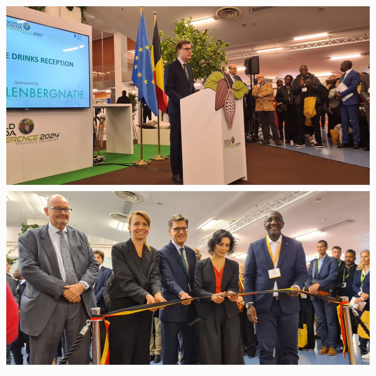 Rafael Soriano Ortiz tweet media