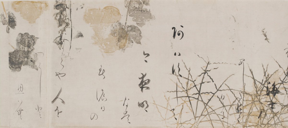 Imperial Anthology, Kokinshu, paint by Tawaraya Sotatsu, calligraphy by Hon'ami Koetsu, early 1600s

#rimpa