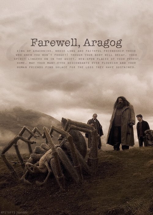 April 21, 1997: Aragog's funeral takes place. 'Farewell, Aragog. King of the Arachnids. Your body will decay, but your spirit lingers on.'
