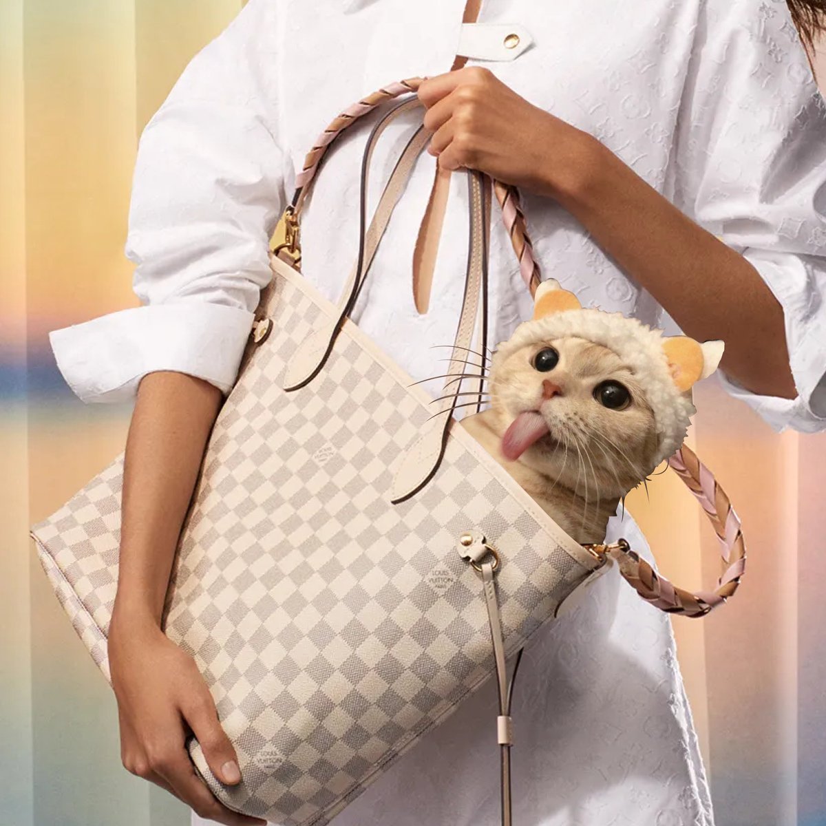 Don't fade your $Luis bag!🐱