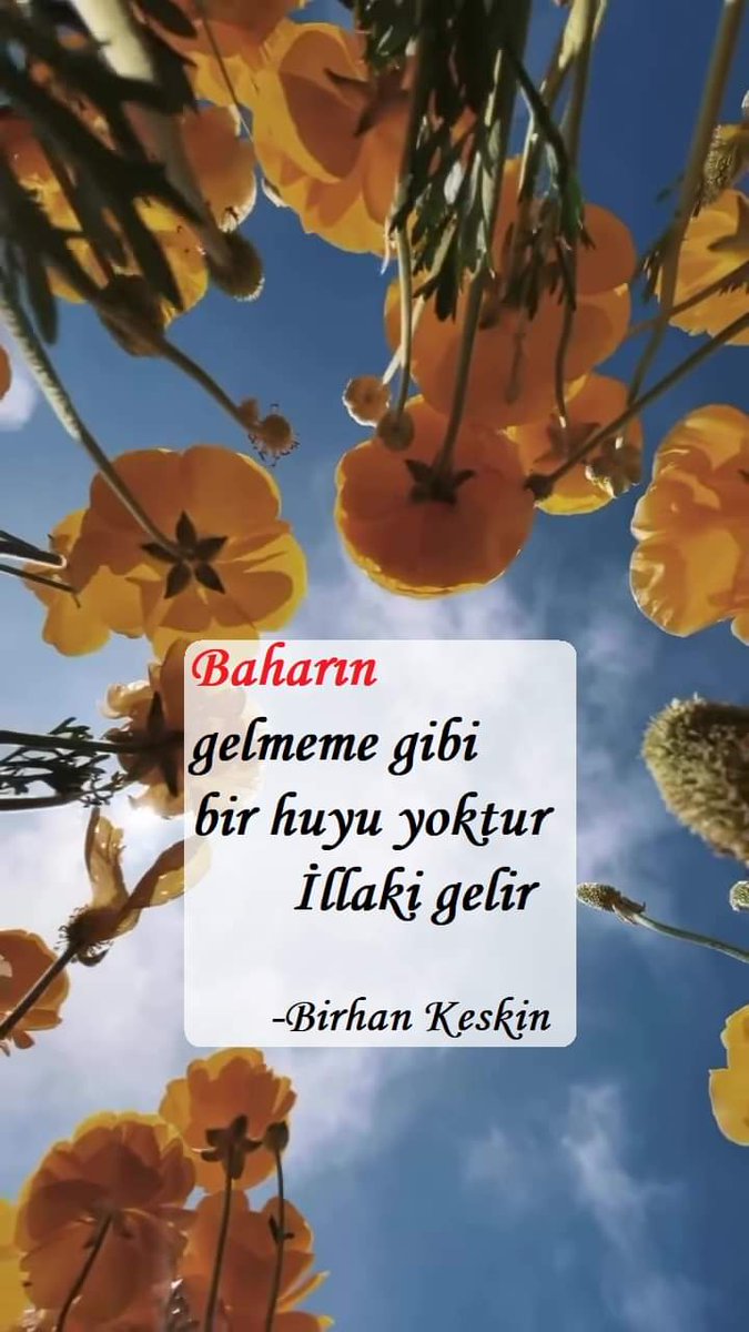 E-Devlet de, hangi gün ilk işe giriş tarihimiz gözüküyorsa, sigorta başlangıcımız o tarih olmalıdır, Bu yanıltıcı ve haksızlık yaratan uygulama bir an önce bitmelidir...
Staj Çırak

Sayın Özgür Özel
#KülliyedeÇırakVeStajyeriUnutma