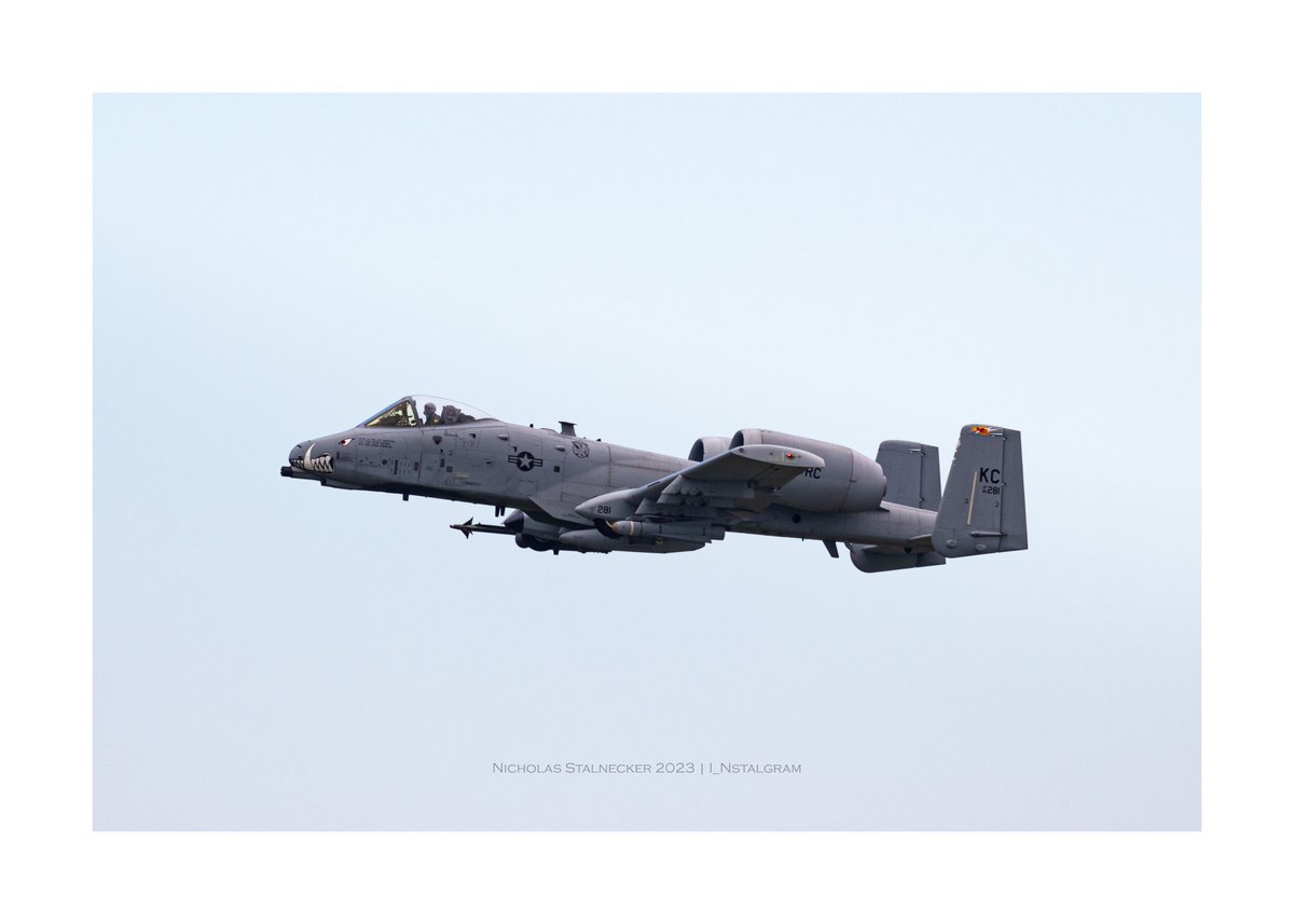 Stalsomething's tweet image. Wild hog. 

#A10Thunderbolt