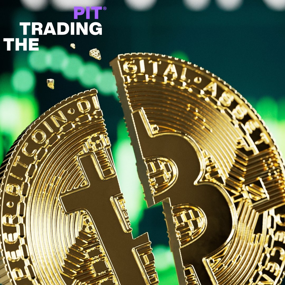 Exploring the aftermath of the recent Bitcoin halving event! 🔄
Join us as we break down the basics, implications, and predictions following the 2024 event. 
Read it all: shorturl.at/djBEY
#Bitcoin #Cryptocurrency #BitcoinHalving #CryptoInvesting #Finance