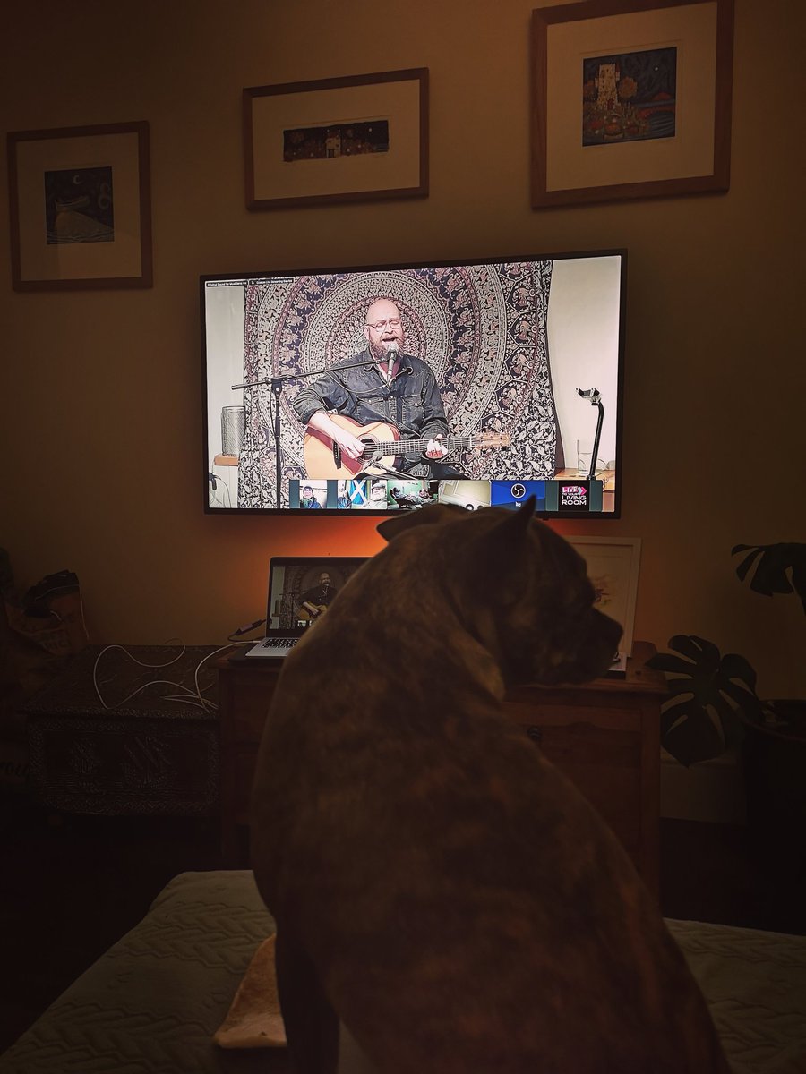 Finn watching Findlay... Cracker of a night in with @findlaynapier via @LiveToYourLR! 🎶 Be like Finn and watch Findlay. Catch him live on tour 👇 findlaynapier.com/tour