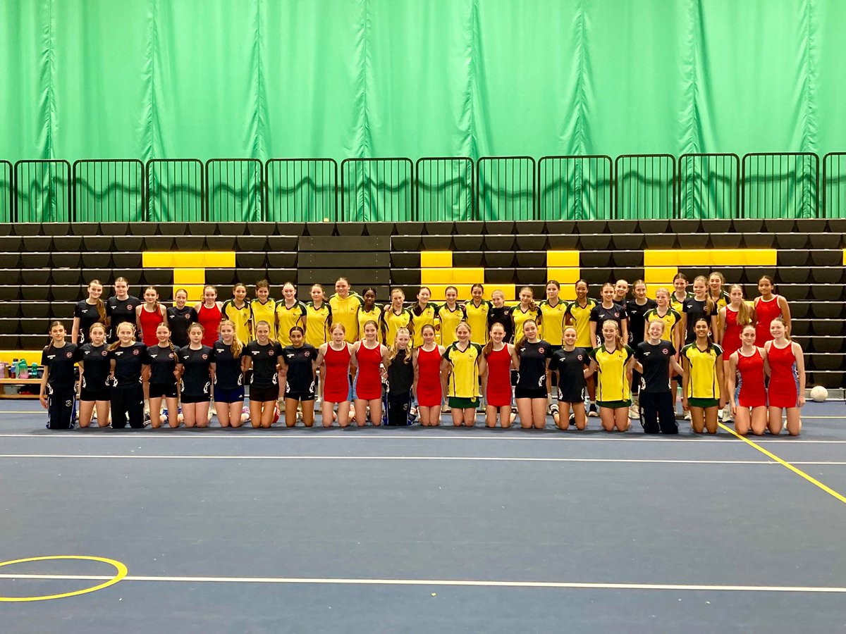 SurreyNetballPDP tweet media