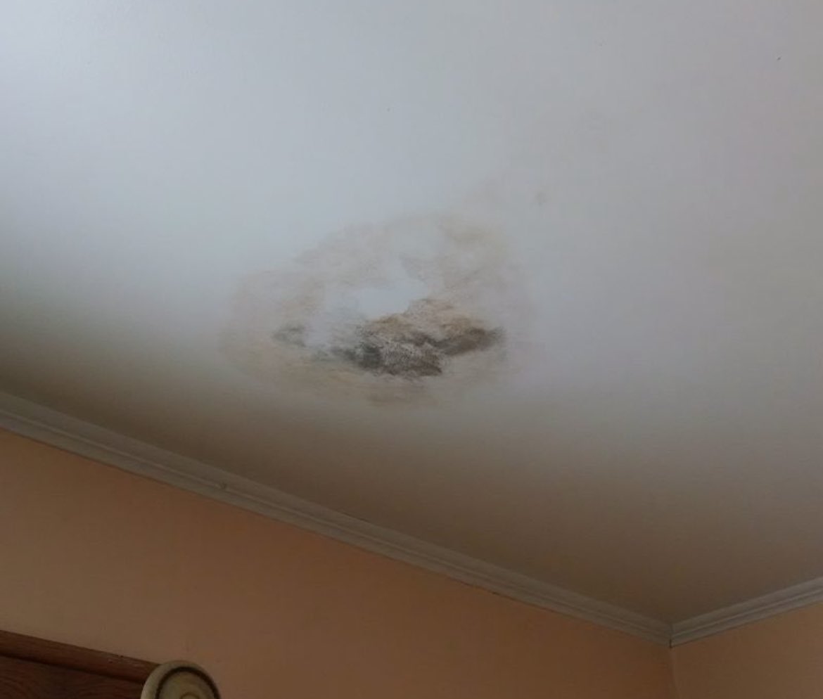 hadifwalid's tweet photo. Korang kalau selalu selsema atau batuk dekat rumah boleh jadi sebab kulat yang ada dekat dinding dan siling. Aku dah jumpa cara macam mana nak hilangkan kulat2 ni ! Boleh buat sendiri je dekat rumah. 

Jemput scroll. https://t.co/yR9JjZKR4y