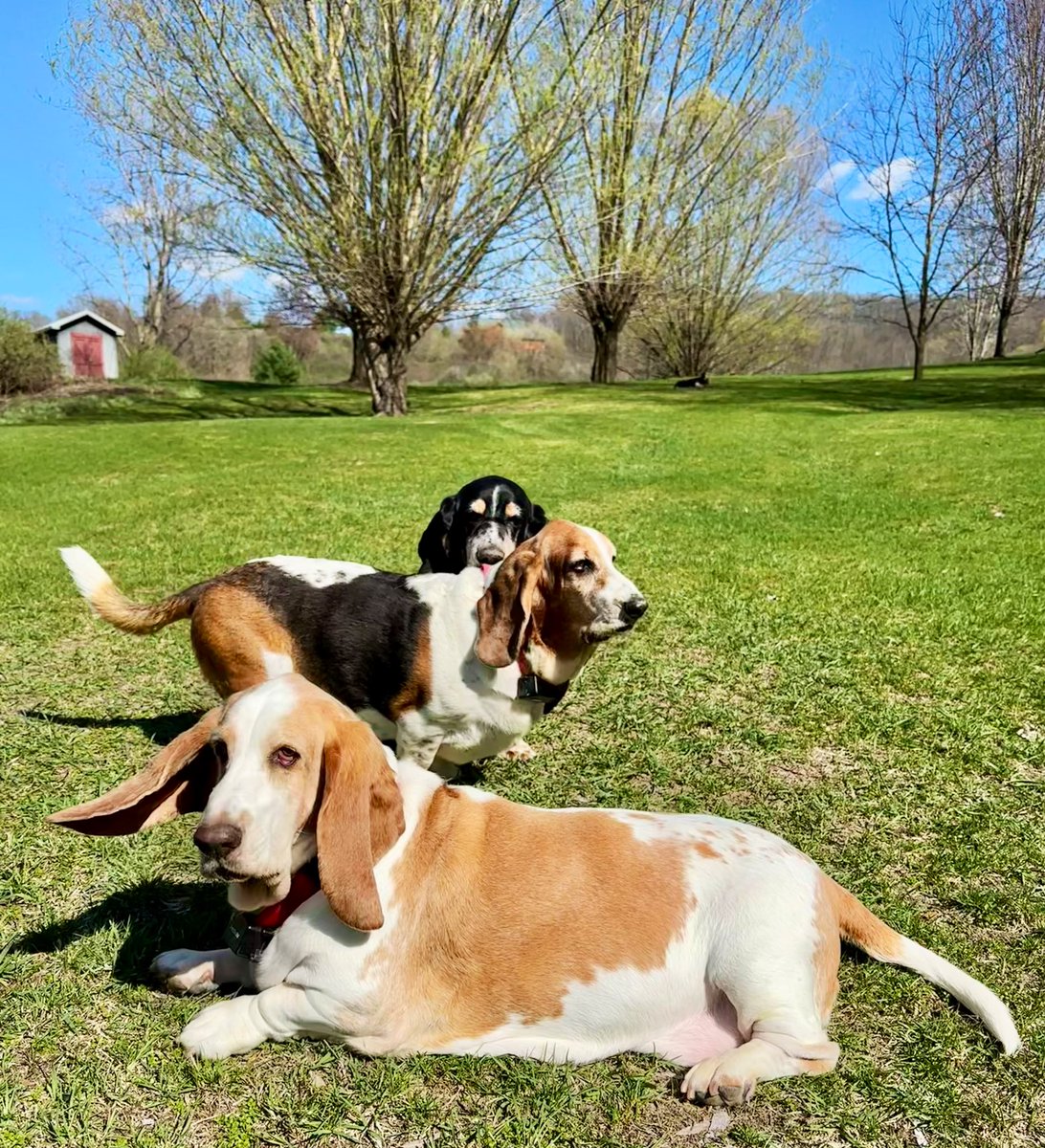 The boys, til Charlene’s #photobomb