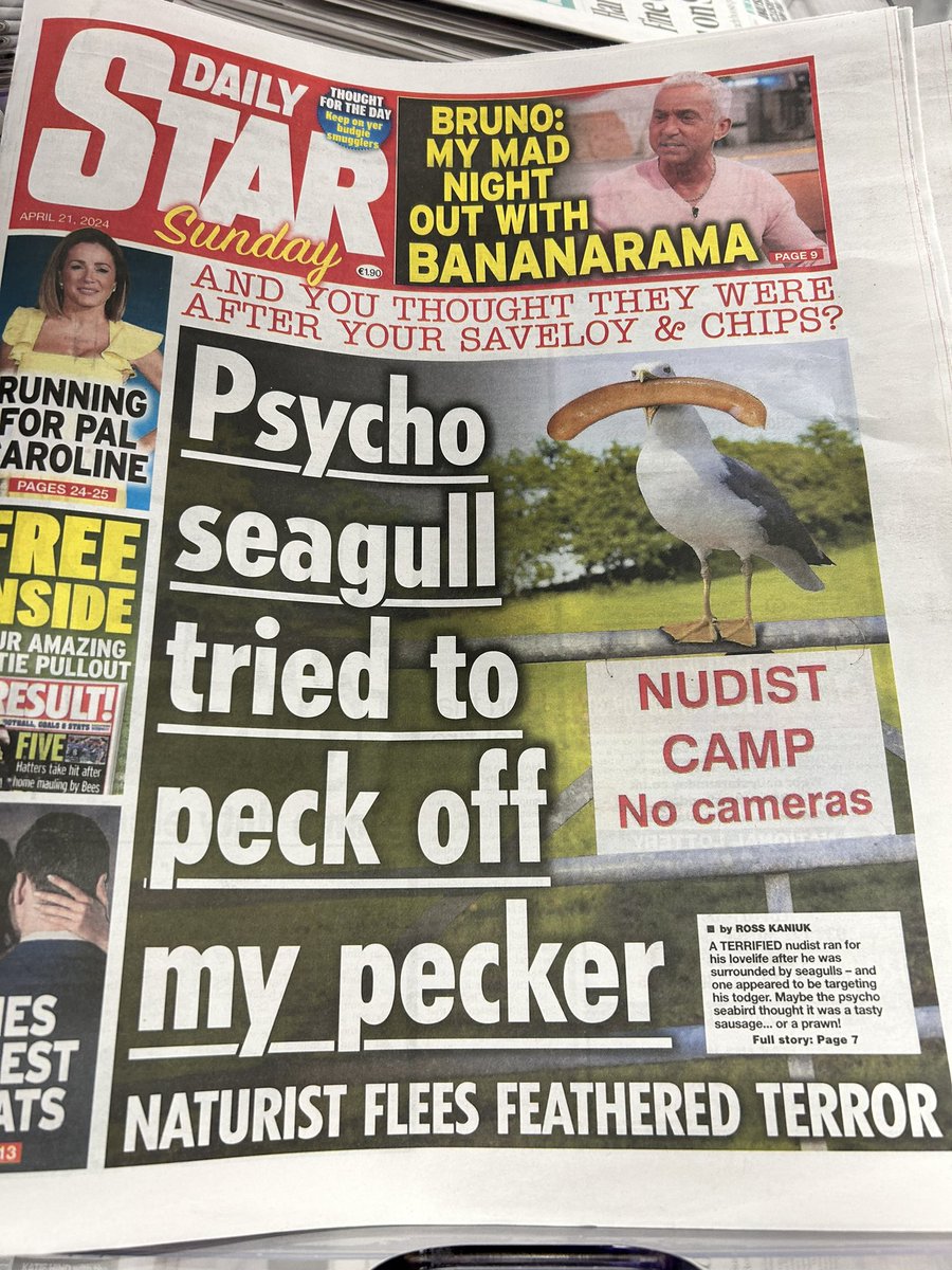 Spotted this on newstand in Tesco Express tonight.. this seagull problem 😂 may be a bit worse than the Dublin problem articulated by @keithconnollyff last summer