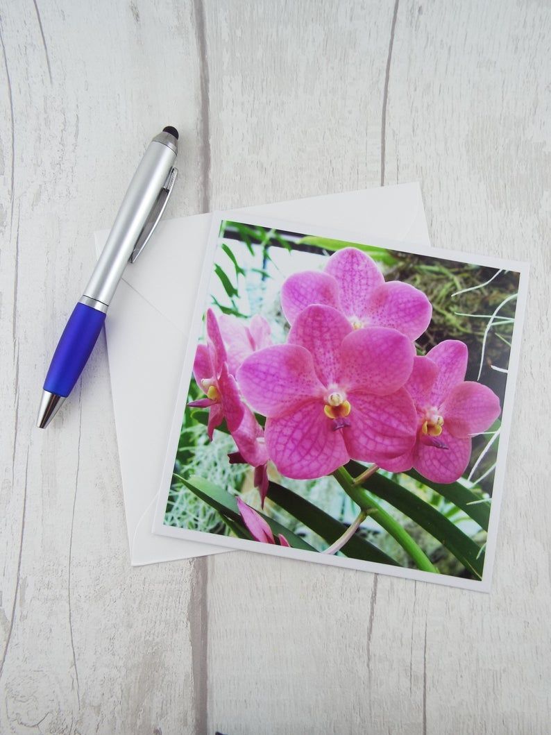 Brighten someone's snail mail with this floral card or one of the other beautiful cards available in my shop!  Perfect for any occasion, big or small
creatoriq.cc/44iAk72
#Ad #NoteCard #GreetingCard #floral #JustACard #Etsy #CraftBizParty
