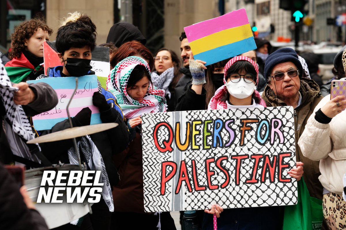 'QUEERS FOR PALESTINE' Along with the Trans flag and Pansexual flag. What are your thoughts? DeportHamas.com