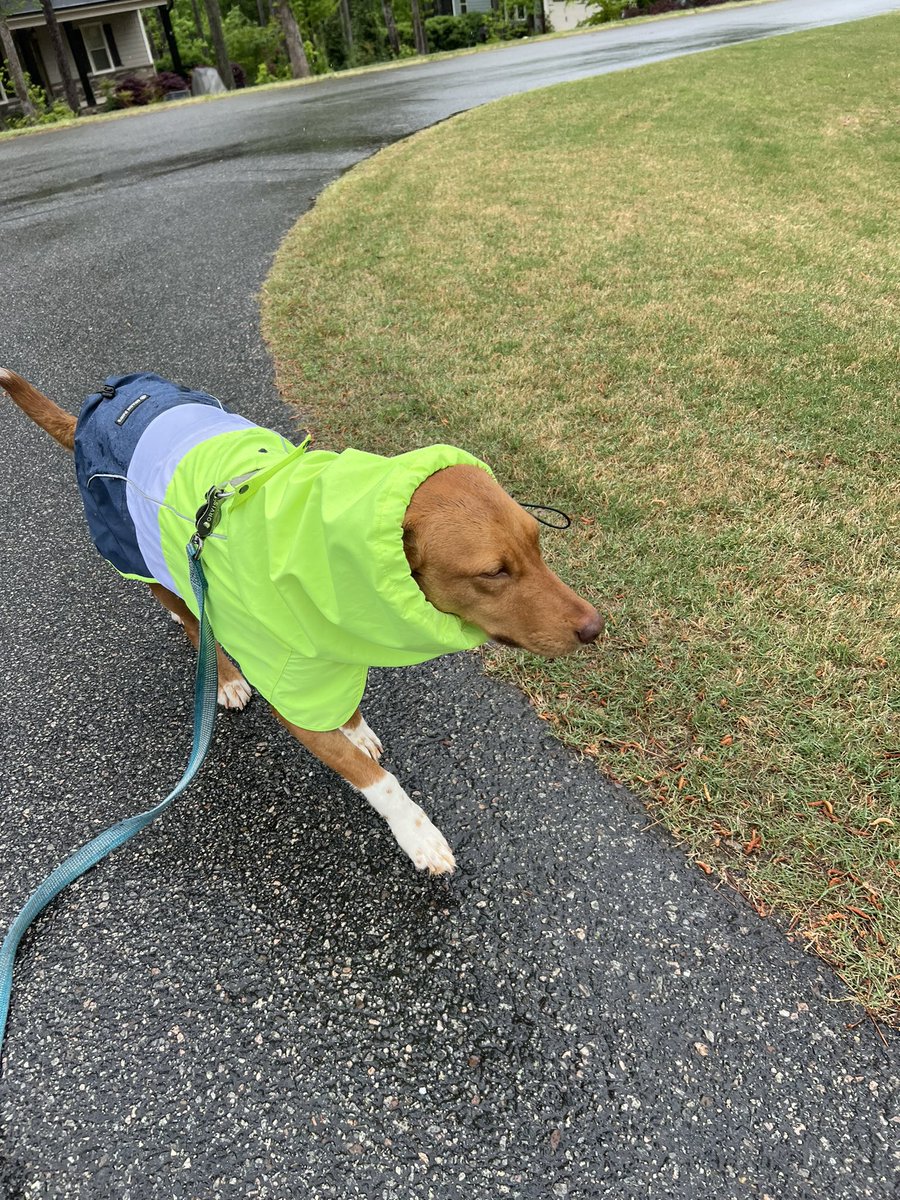 Stepping out in my spiffy rain jacket. I think I look like a worm head😂 #sundayvibes