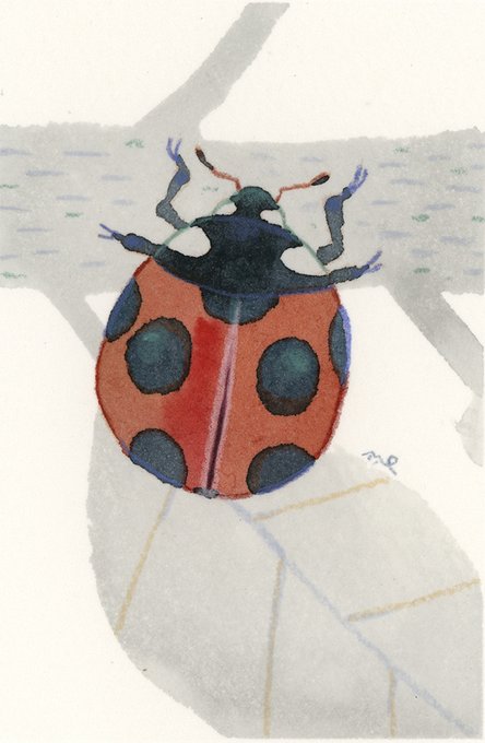 「bug」 illustration images(Latest)｜21pages