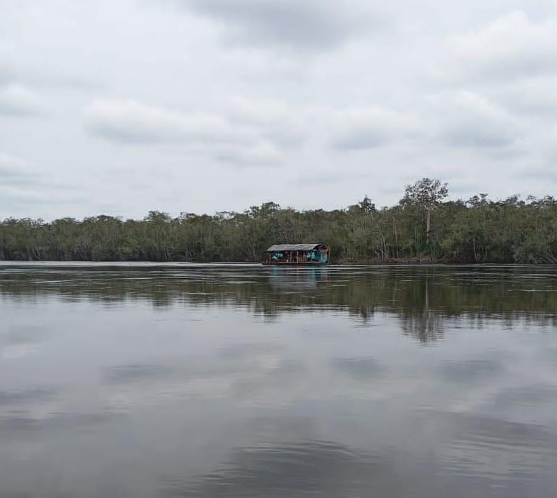 BALSAS MINERAS EN EL ALTO ORINOCO Pobladores de la Comunidad Curripaco del Niñal (Boca del Pasimoni) en el Municipio Río Negro, Edo. Amazonas denuncian la presencia de balsas mineras en el río Pasimoni y el Yatua, dentro de la Reserva de Biosfera Alto Orinoco Casiquiare y del