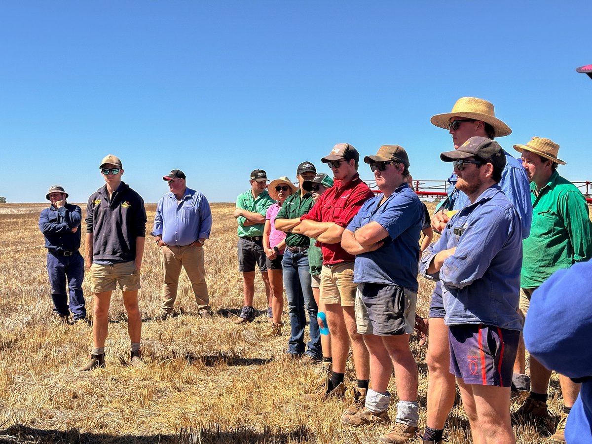 Join the growing community in the BCG Young #Farmer Network at the #VicHub’s North-West Node. Connect, learn and support each other in our upcoming events across the #Wimmera #Mallee region. vicdroughthub.org.au/news-events/ne…