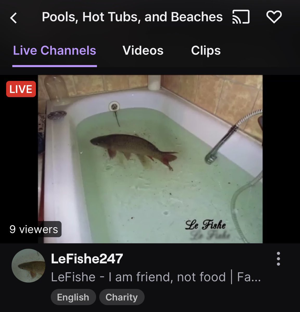 I periodically check the pools, beaches and hot tub stream category out of curiosity…

I found this