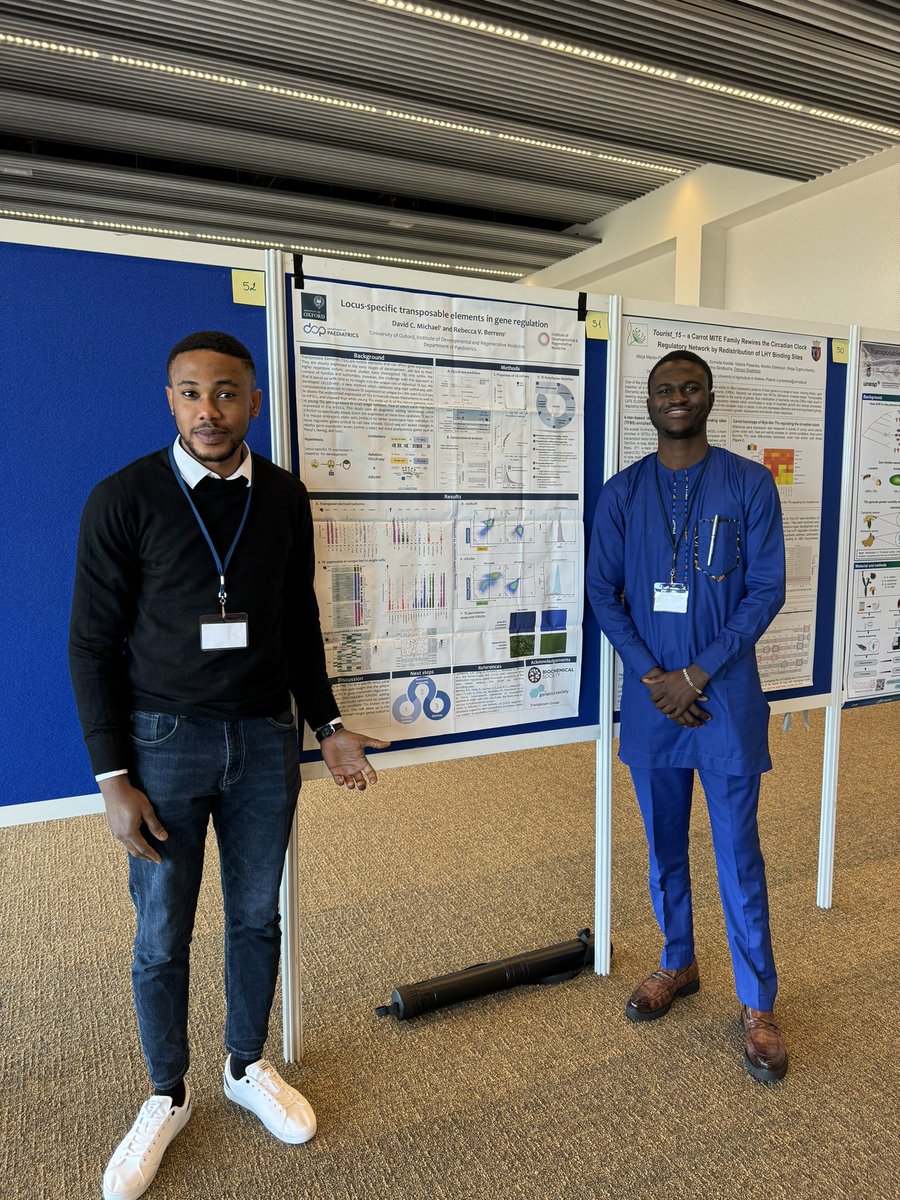 David C. Michael tweet media