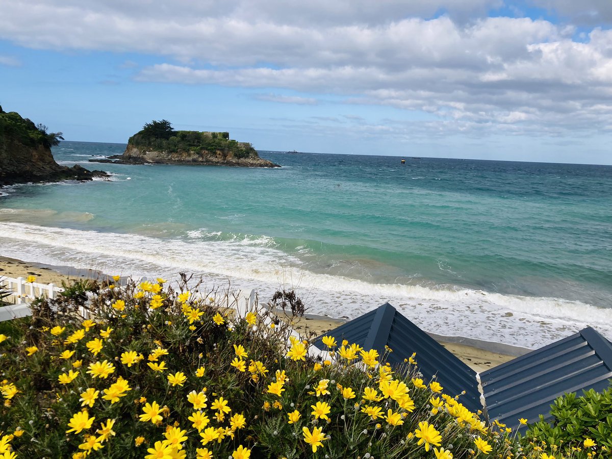 LEMAÎTRE Céline tweet media