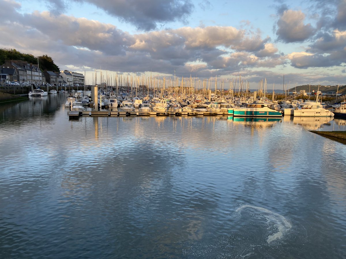 LEMAÎTRE Céline tweet media