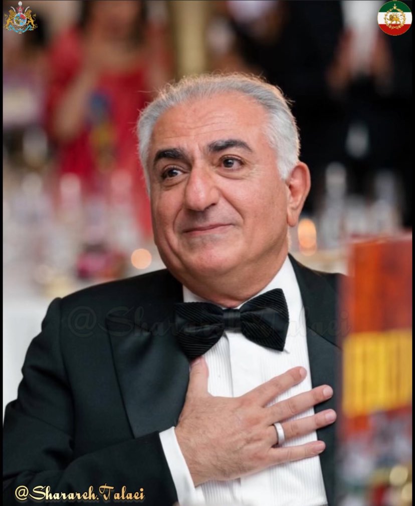 Pegah Shirazi, Ph.D. tweet media