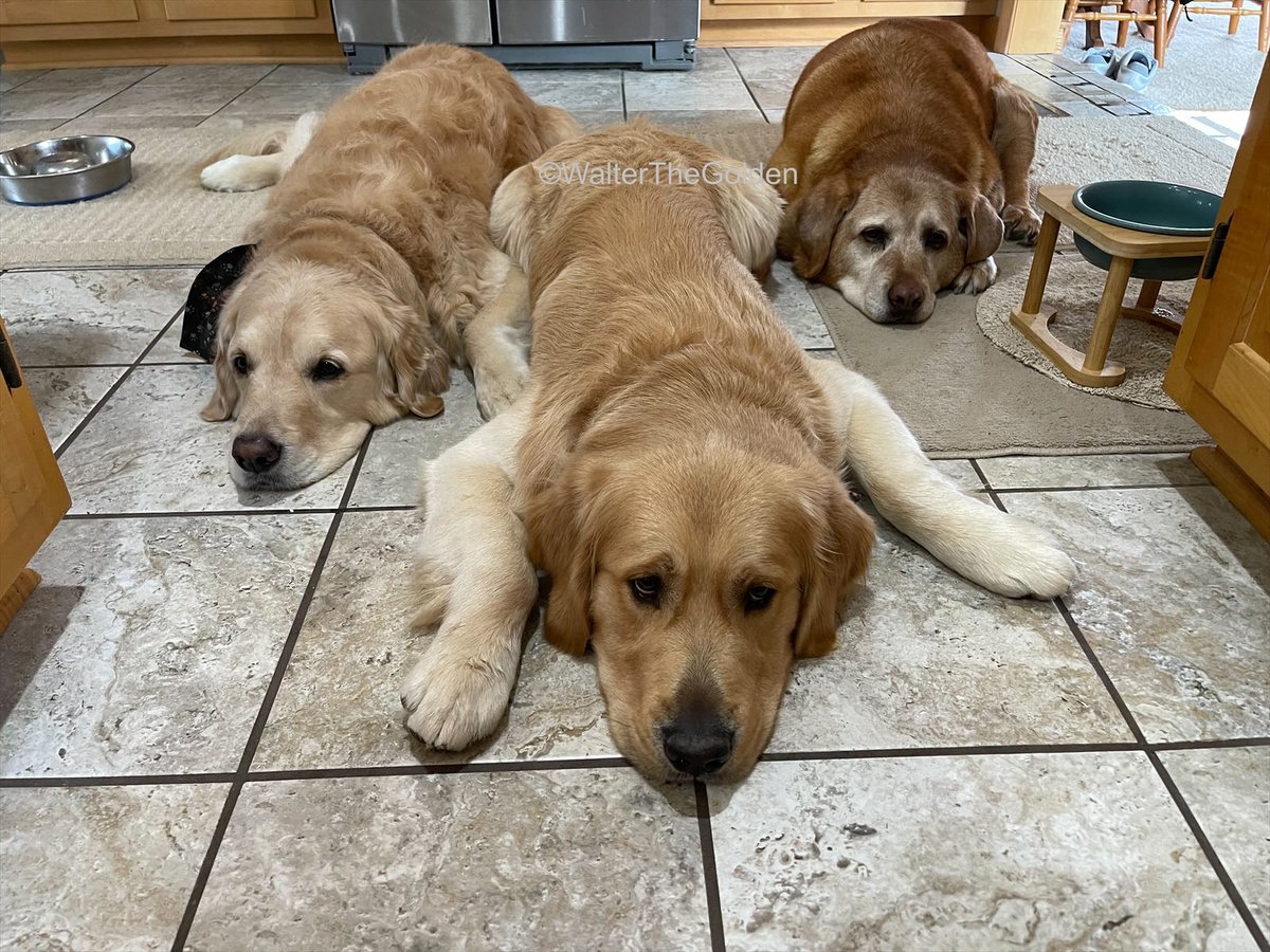 Tell me it’s time for dinner without telling me it’s time for dinner…