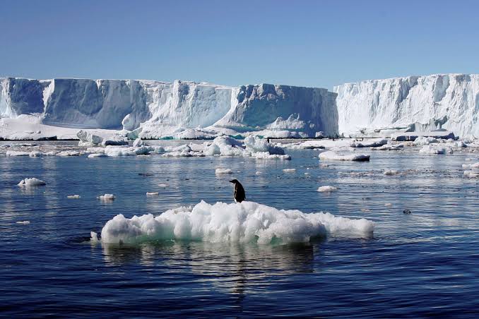 #Deforestation exposes ice caps to increased #temperatures which lead to the melting of the ice caps. This leads to increased melting which further leads to the rise in the #ocean or sea level. This in turn changes the weather patterns causing #climatechange and intense #flooding