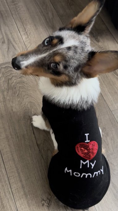 he fits into ponyos old clothes now :(( https://t.co/KkByiHEPe0<a href="/tag/berserk"class="tags"><span>#berserk</span></a><a href="/tag/%E3%83%99%E3%83%AB%E3%82%BB%E3%83%AB%E3%82%AF"class="tags"><span>#ベルセルク</span></a>