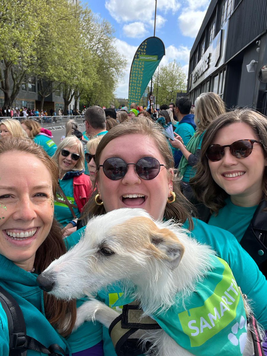 Petals Of Perfection tweet media