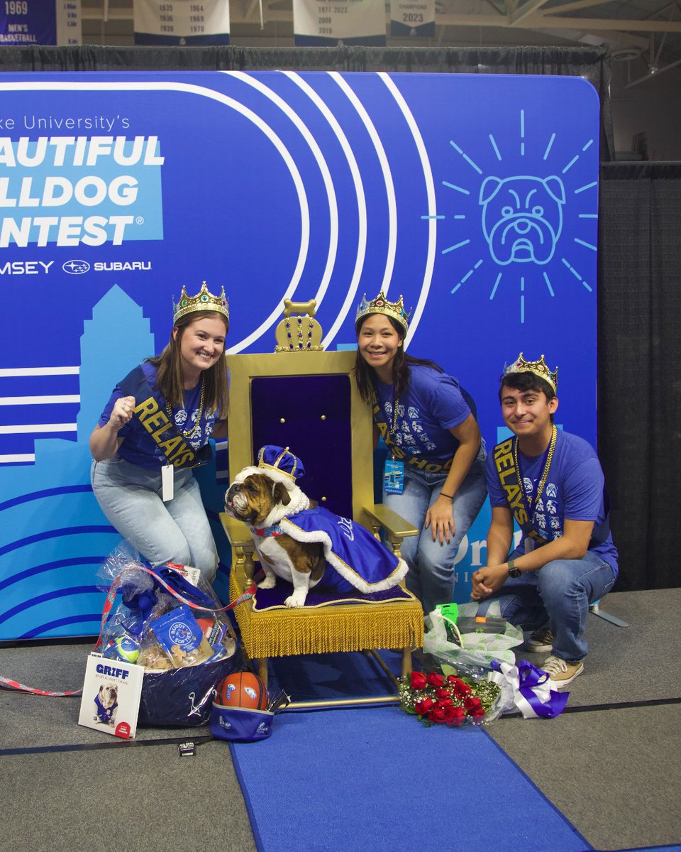 Congratulations to Pumpkin for being crowned the 2024 Most Beautiful Bulldog! 🐶👑 Her adorable wrinkles and lovable personality have stolen the show and our hearts! 💙