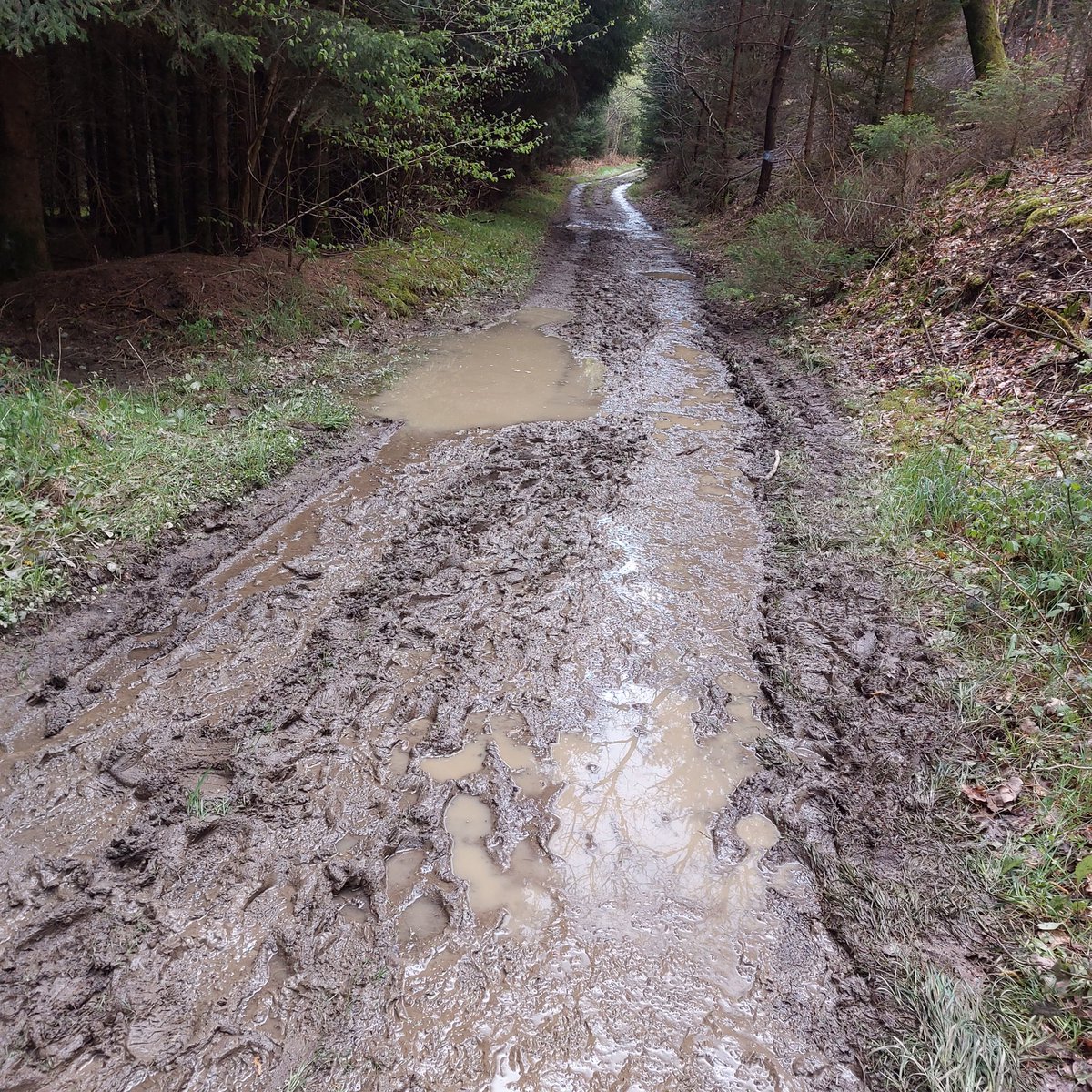 Evelyne1202's tweet photo. Balade dominicale, boueuse mais très agréable. 
Sportive aussi 🥵
On a traversé de bien jolis villages 😊 
#pointsverts #adeps https://t.co/xwVLKxrJrv