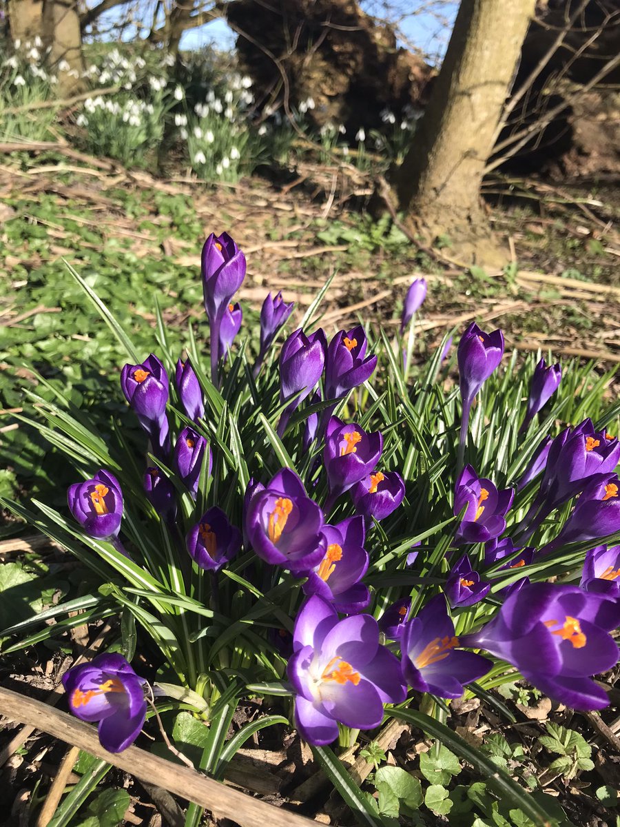LoveTrueNature's tweet photo. @drfunkenberry 🌞🌸💜🌿❄️🌼 springvibe 🌳🕊🎶💞 Love🙏🏼Prince🎶#NPG #Music🎶#MplsSound❣️Yeah 😇 Spirits calling ❤️ ~~~ go w the flow ~~~ ukno ✊🏽 best around the World 🌎🌏🌍 💓🎶 Peace ☮️✌🏼✌🏾✌🏽 ThankU All💜Heartwarmin Soul❣️urs sincerely 💚 https://t.co/jin2OxDDH8