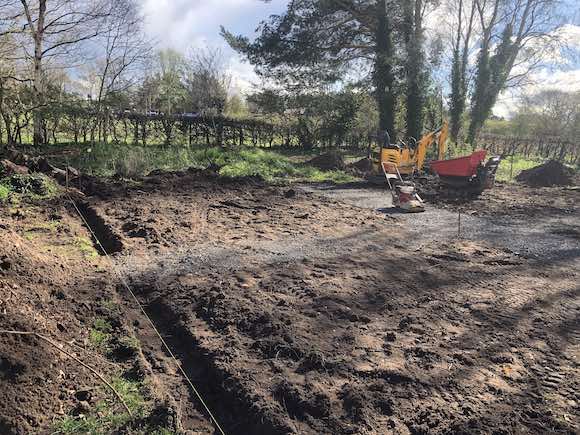 Petunias / Paths / Supercorgis dlvr.it/T5pm8Y