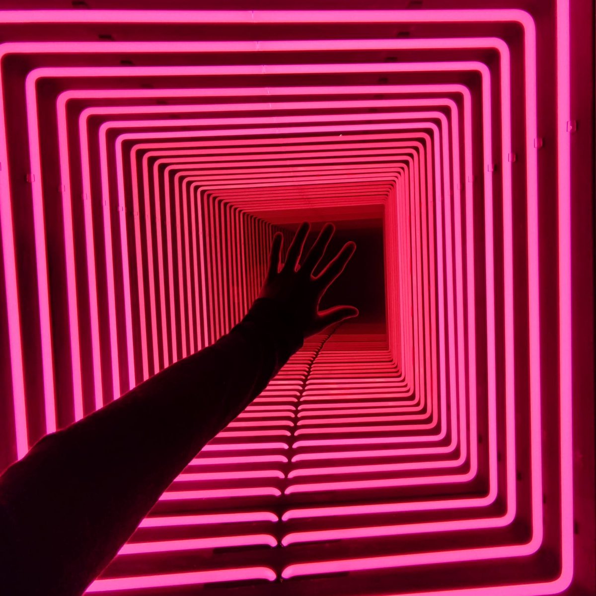 IES El Sobradillo tweet media