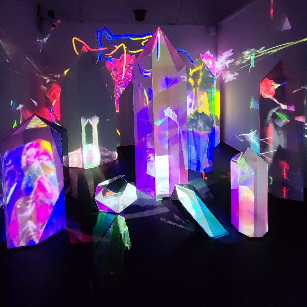 These days, we wrapped up our training on how to deal with different emotions focusing on special needs and art education. We also explored the Chiostro del Bramante museum and received certification for completing the course. It's been an enlightening journey! #Erasmus #Rome 🇮🇹