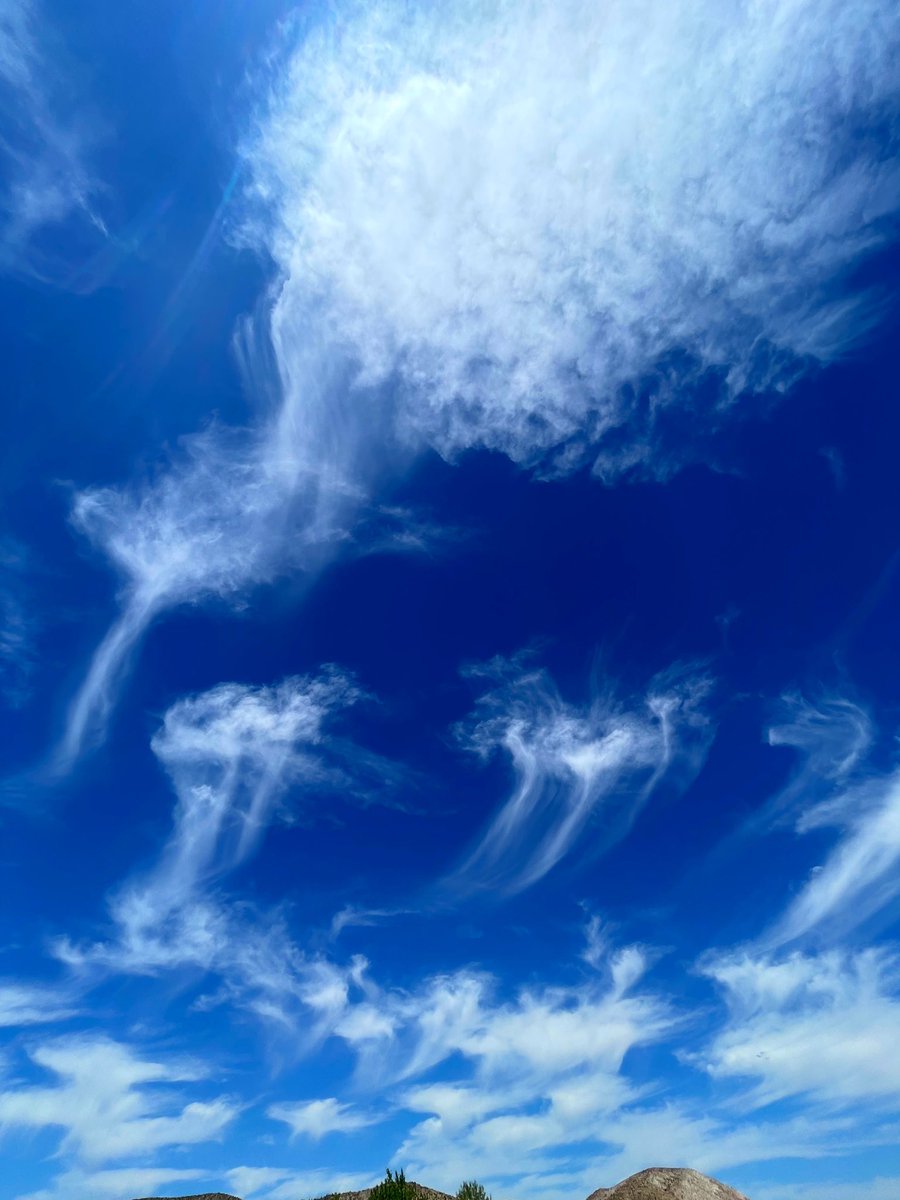 Huge cirrus blobs with ice virga tails floating by yesterday. I think this might have been Sierra Nevada snowmelt evaporation in part-warm lower temps and cold air aloft. #clouds