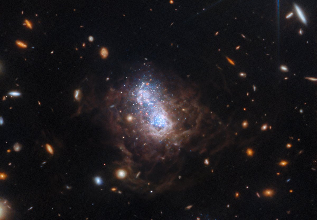 A duo of starbursts in I Zwicky 18 I Zwicky 18, a galaxy first discovered by Fritz Zwicky in the 1930s, is now revealed to be involved in a burst of star formation triggered by interaction with a companion galaxy. (Credit: ESA/Webb, NASA, CSA, A. Hirschauer, M. Meixner et al.)