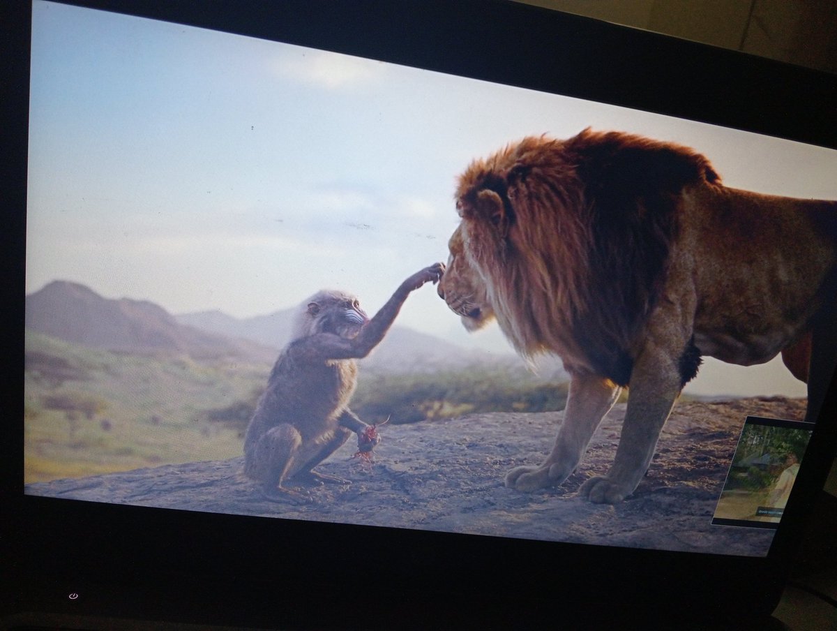 this is now the 20th time I'm watching this movie
@AnimalPlanet @natgeoafrica @natgeowild