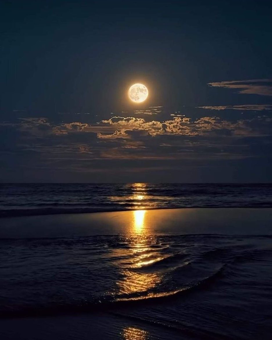 Ocean moon ✨