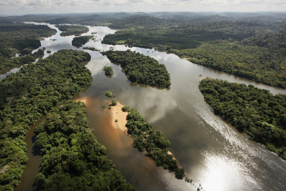 Action to defend the Amazon from mining deforestation and pollution. amazonwatch.org/take-action/mi… @amazonwatch