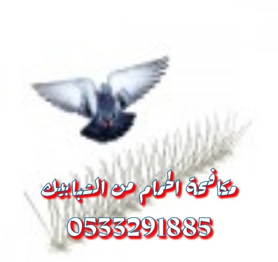 alsyd51973's tweet photo. شركة تركيب طارد الحمام بالرياض  0533291885
تركيب شبك مانع الحمام والطيور على الشبابيك 
تركيب اشواك مانع الحمام على اسوار البيت 
تنظيف منازل بالرياض 
تنظيف مجالس بالرياض 
تنظيف خزانات المياه مع التعقيم https://t.co/ZxWnRmXdrW