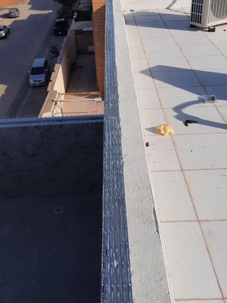 alsyd51973's tweet photo. شركة تركيب طارد الحمام بالرياض  0533291885
تركيب شبك مانع الحمام والطيور على الشبابيك 
تركيب اشواك مانع الحمام على اسوار البيت 
تنظيف منازل بالرياض 
تنظيف مجالس بالرياض 
تنظيف خزانات المياه مع التعقيم https://t.co/ZxWnRmXdrW