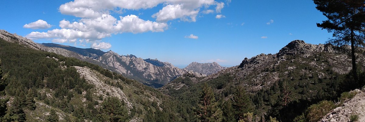 DGCerdeno's tweet image. 