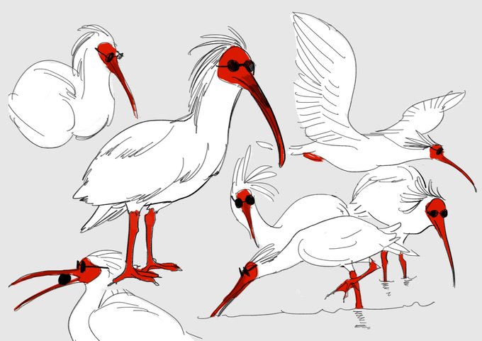 Crowley as a crested ibis for your tl 