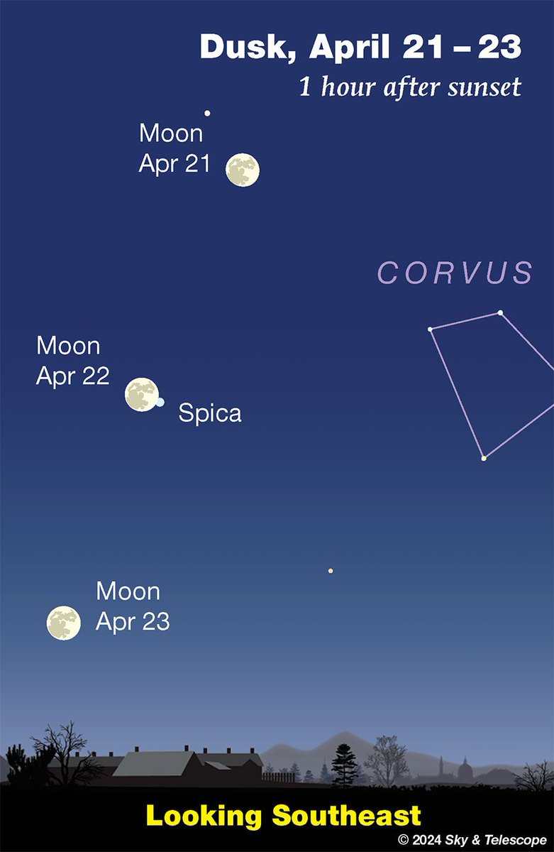 While Arcturus shines as the brightest star high in the east these evenings. Spica shines lower right of it — by about three fists at arm's length. To the right of Spica by half that distance, look for the distinctive four-star constellation of Corvus, the springtime Crow.