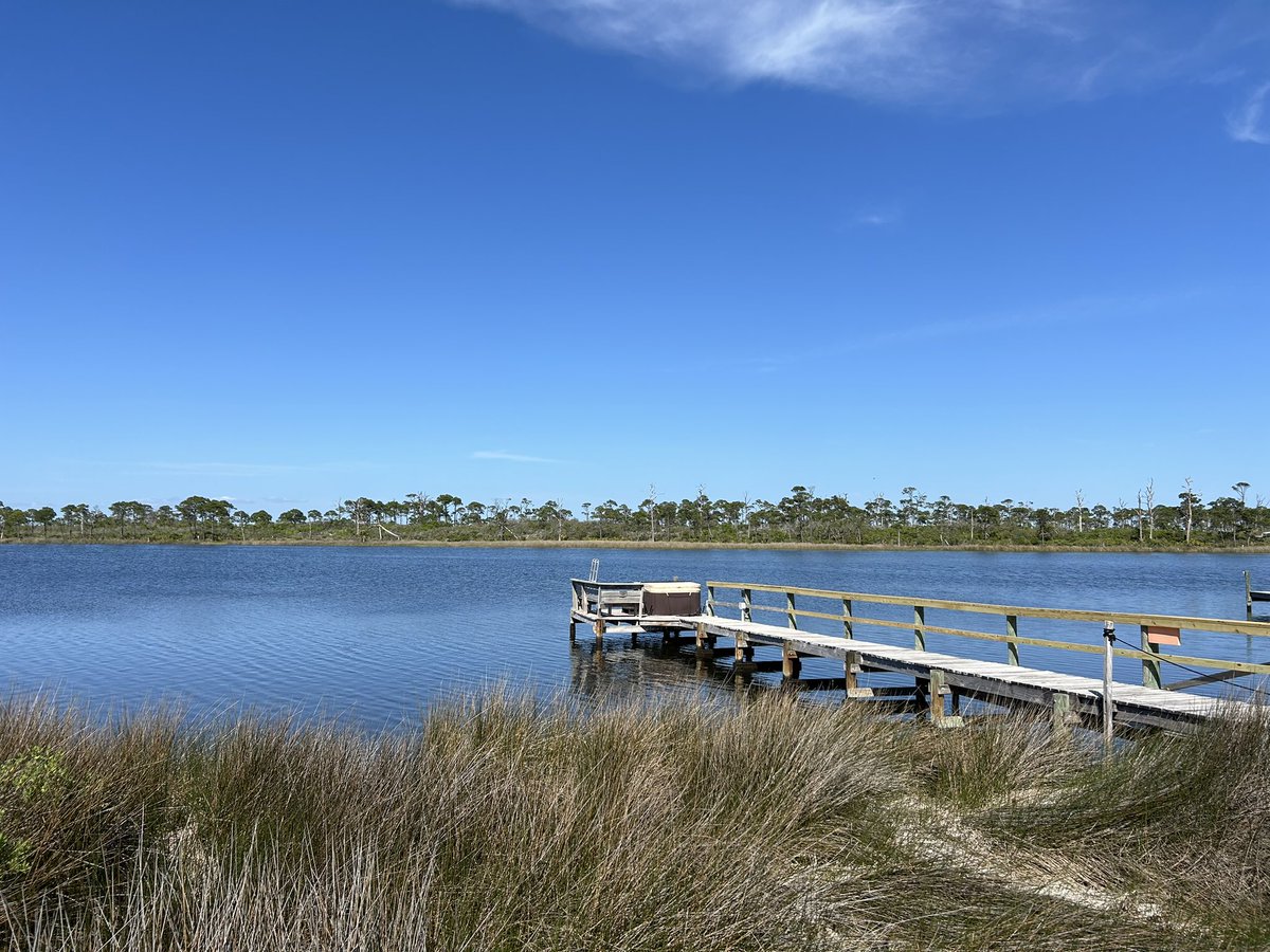 thisgrltravels's tweet photo. Looking for your next home away from in Cape San Blas? Look no further than the Cape San Blas Inn. 7 rooms w/ensuite bathrooms right on St. Joseph Bay & steps from the Gulf of Mexico.
#GulfCountyFL
#InGulf https://t.co/eCLKNRAZEK