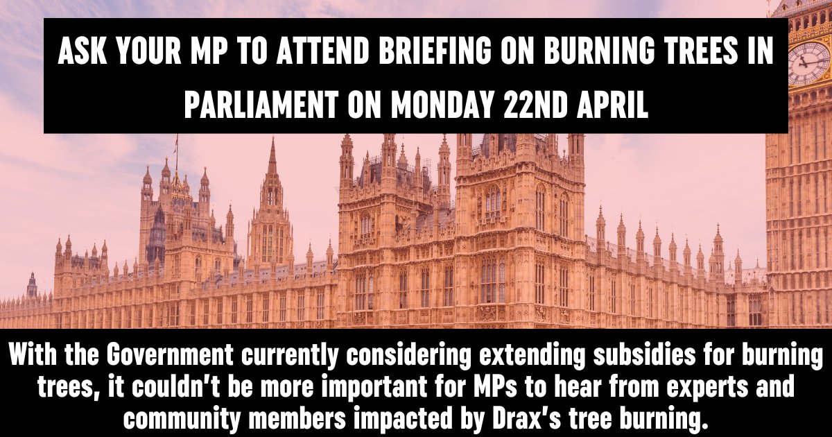 🚨Urgent action: Please call on your MP to attend a special Parliamentary Briefing tomorrow about the impacts of tree burning in UK power stations like Drax: tinyurl.com/3v6a8v8k 🌳🔥🏭 #StopBurningTrees 🌳🔥