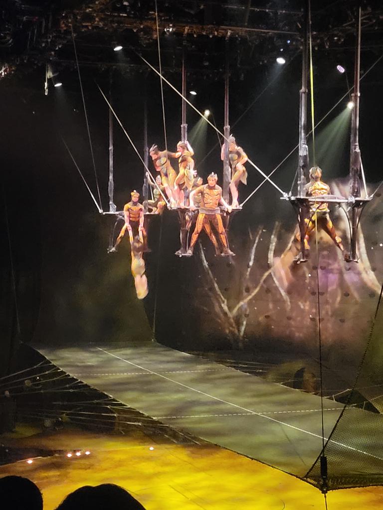 visatorro's tweet image. Change of scenery this evening,  at least the have a safety net